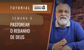 Alimento Diário Pastorear o rebanho de Deus – Mensagem 14 – Tutorial