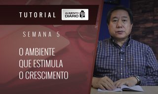 Alimento Diário Perdoai-vos uns aos outros – Mensagem 21 – Tutorial