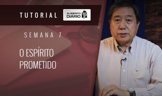 Alimento Diário Perdoai-vos uns aos outros – Mensagem 23 – Tutorial