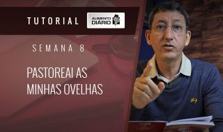 Alimento Diário Perdoai-vos uns aos outros – Mensagem 24 – Tutorial