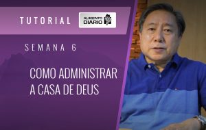 Alimento diário – A progressão da vida Divina – Mensagem 14 – Tutorial