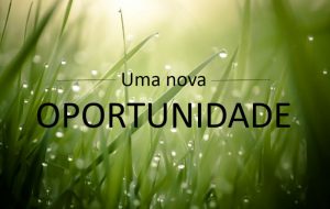 Um nova oportunidade – Jornal Árvore da Vida
