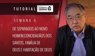 Alimento diário – GRAÇA E PAZ PARA A VIDA DA IGREJA – Mensagem 22 – Tutorial