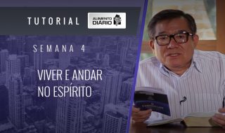 Alimento diário – O EVANGELHO – Mensagem 04 – Tutorial