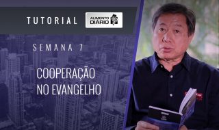 Alimento diário – O EVANGELHO – Mensagem 07 – Tutorial
