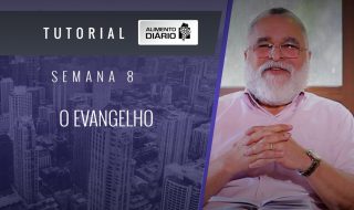 Alimento diário – O EVANGELHO – Mensagem 08 – Tutorial