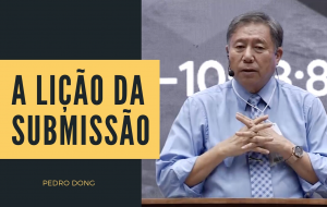 A lição da submissão